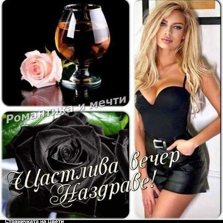 Къща За Гости "Черната Роза" Bŭlgarevo Exteriör bild